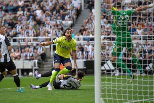 的满分评价 的满分评价